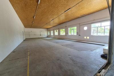 Spațiu comercial, de 1,059 mp, în Lugoj - 8