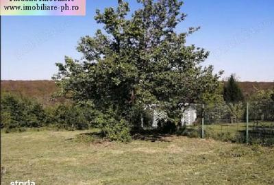 Teren de 1700 mp, în Păulești - 3