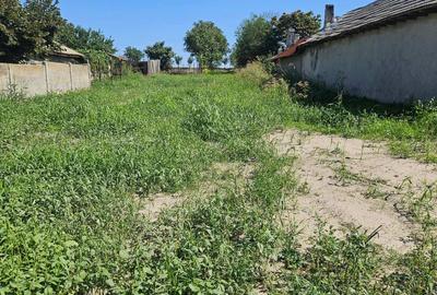 Teren de vânzare în Corbu, ideal pentru investiții sau dezvoltare afaceri! - 6