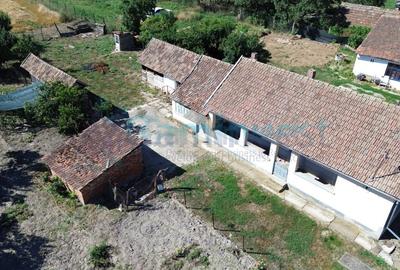 Casă individuală cu 3 camere cu Teren 4192 Mp în Bicaci - 3