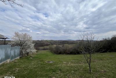 Teren de 5000 mp, în Copăcel - 1