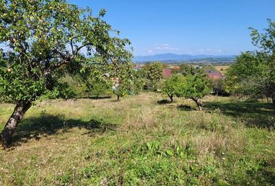 Teren de 4100 mp, în Remetea Chioarului - 6