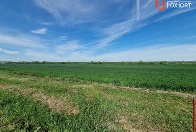 Teren agricol extravilan de 9500 mp, în Remetea Mare - 3