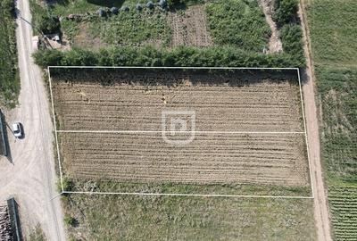 Parcele 1000mp INTRAVILAN | Ilisesti | Bucovina - 2