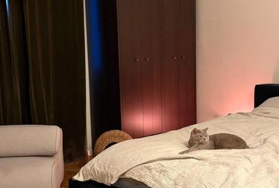 Apartament cu 3 camere în Horea - 1