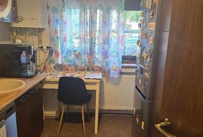 Vand apartament 2 camere in Deva, zona I. Traian, parter, mobilat - 12