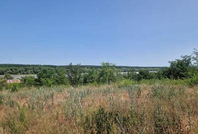 MAHMUDIA-TERENURI SI CASE - 2