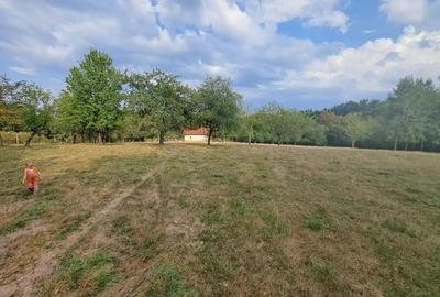 Teren de 15826 mp, în Central - 2