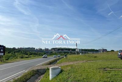 Spațiu comercial, în Băile Felix - 5