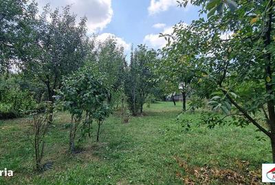 Casă cu 5 camere cu Teren 1374 Mp în Central - 7