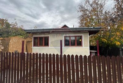 Casă individuală cu 5 camere cu Teren 967 Mp în Tisa-Silvestri - 14