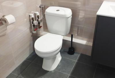 Lacul tei-facultatea de constructii - 3