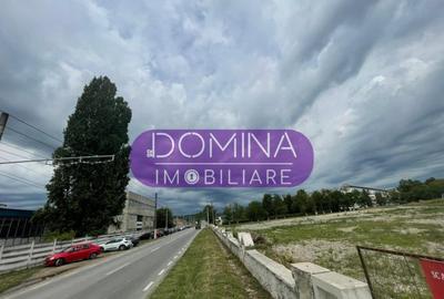 Teren intravilan, vad comercial, in Barse?ti, la DN 67D - 3