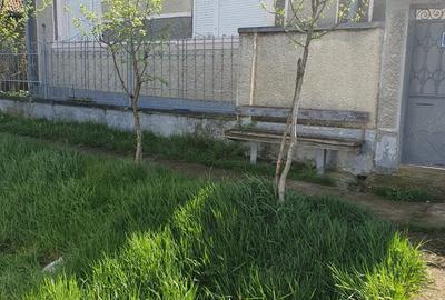 Vand casa Bicaci - 3