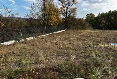 Spațiu comercial, în Vlădești - 2