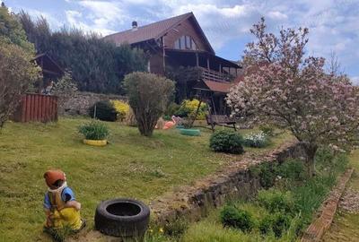 Cabana de lemn in zona turistica Bihor - 10