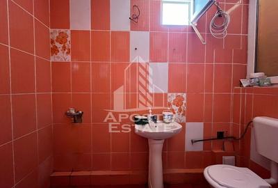 Casa invididuala cu 13 camere, situata in zona Mehala - 9