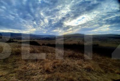 Teren de 2900 mp, în Sopor - 2