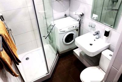 Garsonieră în Pantelimon - 4