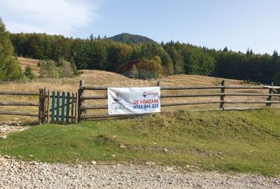 Teren extravilan de 20000 mp, în Dălghiu - 7