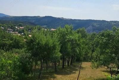 Casă cu 3 camere cu Teren 3000 Mp în Fârliug - 8