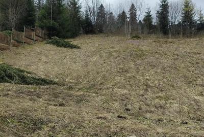 Teren de 1000 mp, în Predeal - 1