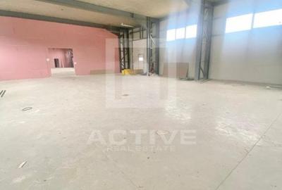 Hala cu curte proprie -zona napolact - 12