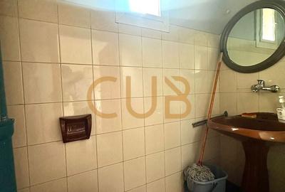 Garsonieră nedecomandată în Iosefin - 8