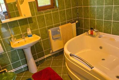 Vand casa in Deva, zona Zavoi, P+E, constructie din BCA si boltari, - 18