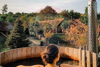 Hotel/Pensiune, de 231 mp, în Dobreni - 5