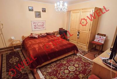 Casă familiară de vânzare în Bixad! - 21