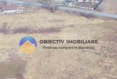 Teren Construcții intravilan de 3035 mp, în Bodești - 4