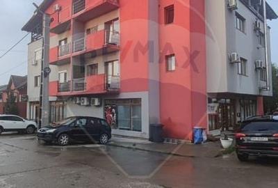 Apartament 67 mp utili de vanzare cartier Orizont iesirea spre Paleu - 12