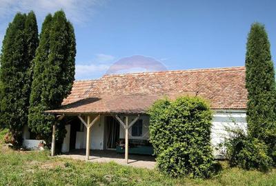 Casa de vacan?a in sat sasesc, Moarda? jude?u... - 1