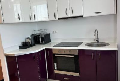 Garsonieră semidecomandată, mobilată în Copou - 1