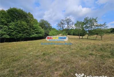 Teren de 2700 mp, în Curtea de Argeș - 9