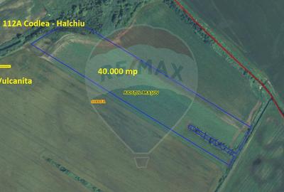 Teren agricol extravilan de 40000 mp, în Nord-Est - 3