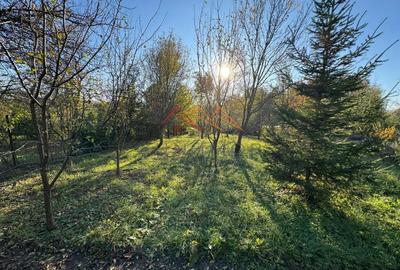 Casă individuală cu 6 camere cu Canalizare în Cornu de Jos (Cornu) - 4