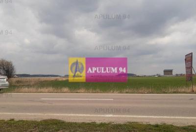 Teren Intravilan cu front stradal la un Drum Principal la... - 33