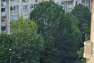 De Inchiriat Garsoniera Bd. Decebal LUX cu TERASA langa Rond Alba Iulia - 23