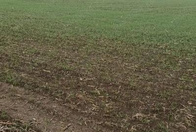 Inchiriez teren 30 ha pretabil pentru parc fotovoltaic - 1