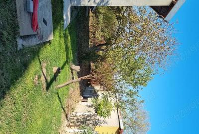 Casă cu 3 camere cu Teren 650 Mp în Glina - 4