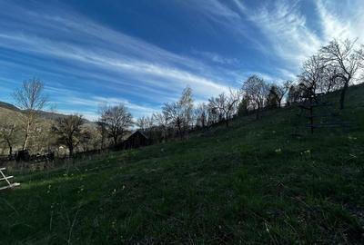 Spațiu comercial, în Secăria - 1