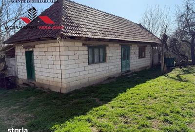 Casă cu 4 camere cu Teren 7701 Mp în Vințu de Jos - 3