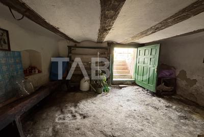 Casa individuala 60 mpu 974 m teren sat Armeni Sibiu - 14