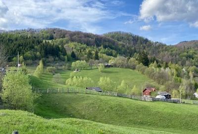 Teren panoramic insorit, utilitati, panta mica si padure, turism sau vacanta - 7