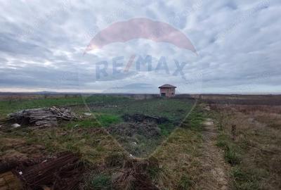 Casă cu Teren 1079 Mp în Petroasa Mare - 1