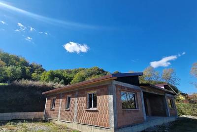 Casa in Vladesti - 3