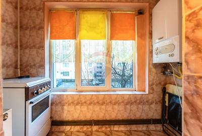 Apartament cu 2 camere de închiriat în zona Craiter - 11