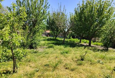 Casă cu 4 camere în Mitreni - 2